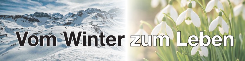 Chilebrugg März 2026